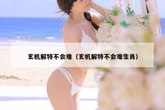 玄机解特不会难（玄机解特不会难生肖）